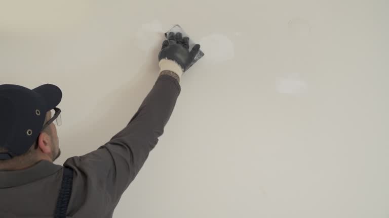 Wallpaper Removal and Painting in Nixa, MO